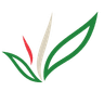 Buildafina logo